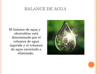BALANCE DE AGUA
El balance de agua y
electrolitos está
determinado por el
volumen de agua
ingerida y el volumen
de agua excretada o
eliminada.
 