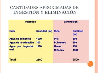 CANTIDADES APROXIMADAS DE
INGESTIÓN Y ELIMINACIÓN
IngestiónIngestión EliminaciónEliminación
RutaRuta Cantidad (ml)Cantidad (ml) RutaRuta CantidadCantidad
(ml)(ml)
Agua de alimentosAgua de alimentos
Agua de la oxidaciónAgua de la oxidación
Agua por ingestiónAgua por ingestión
oraloral
10001000
300300
12001200
PielPiel
PulmonesPulmones
HecesHeces
RiñonesRiñones
500500
350350
150150
15001500
TotalTotal 25002500 25002500
 