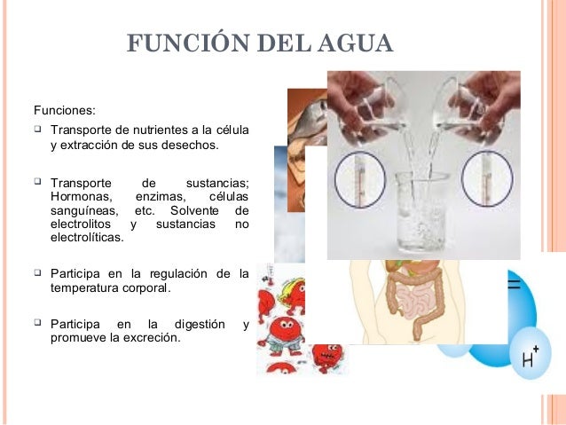 Presentación de control de liquidos