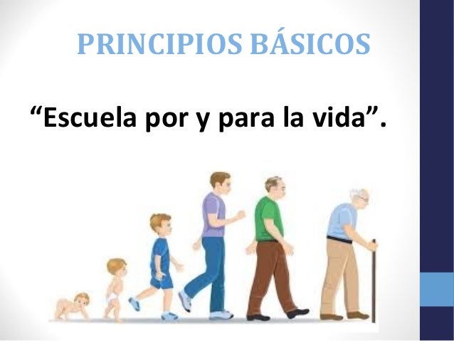 Resultado de imagen para principios basicos de decroly