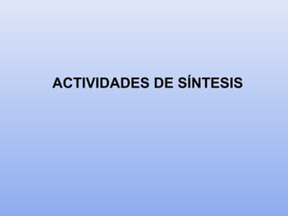 ACTIVIDADES DE SÍNTESIS
 