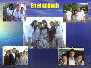 En el cobach  