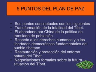 Sus puntos conceptuales son los siguientes  Transformación de la totalidad del Tíbet. El abandono por China de la política de translado de población. Respeto a los derechos humanos y a las libertades democráticas fundamentales del pueblo tibetano. Restauración y protección del entorno natural del Tíbet Negociaciones formales sobre la futura situación del Tíbet. 5 PUNTOS DEL PLAN DE PAZ 