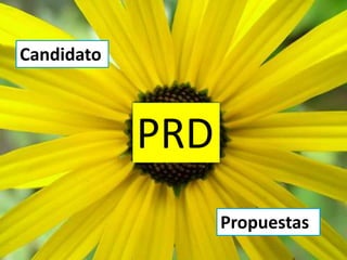 Candidato



            PRD
                  Propuestas
 