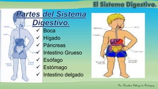  Boca
Hígado
Páncreas
Intestino Grueso
Esófago
Estómago
Intestino delgado
Por: Dioselina Fábrega de Rodríguez