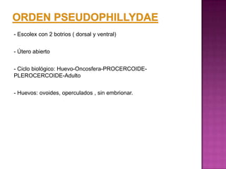 - Escolex con 2 botrios ( dorsal y ventral)


- Útero abierto


- Ciclo biológico: Huevo-Oncosfera-PROCERCOIDE-
PLEROCERCOIDE-Adulto


- Huevos: ovoides, operculados , sin embrionar.
 
