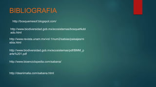 BIBLIOGRAFIA
http://bosquemesof.blogspot.com/
http://www.biodiversidad.gob.mx/ecosistemas/bosqueNubl
ado.html
http://www.revista.unam.mx/vol.1/num2/sabias/paisajes/ni
ebla.html
http://www.biodiversidad.gob.mx/ecosistemas/pdf/BMM_p
arte%201.pdf
http://www.bioenciclopedia.com/sabana/
http://deanimalia.com/sabana.html
 