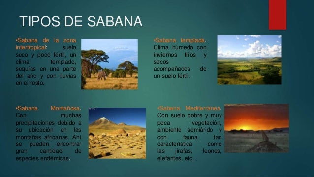 Presentación de ecosistemas