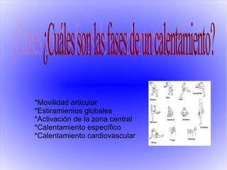 *Movilidad articular
*Estiramientos globales
*Activación de la zona central
*Calentamiento específico
*Calentamiento cardiovascular
 