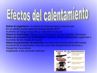 Sobre el organismo: Aumento de la temperatura corporal que
En un adulto puede subir por encima de los 38,5º
Aumento de riesgo sanguíneo y velocidad muscular
Sobre la motricidad: Mejora de la transmición de los impulsos nerviosos.
Sobre la actuación en la actividad: Aumento de las capacidades organicas y
Aumento de los niveles de fuerza
Sobre la prevención de lesiones: Aumento de la temperatura del cuerpo
Aumento de la elasticidad muscular que evita alargamientos bruscos y
Desgarros musculares.
Adaptación a las acciones motrices
 