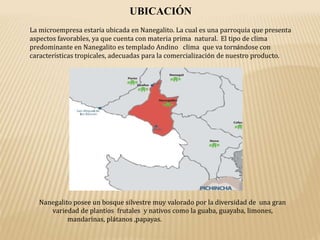 UBICACIÓN
La microempresa estaría ubicada en Nanegalito. La cual es una parroquia que presenta
aspectos favorables, ya que cuenta con materia prima natural. El tipo de clima
predominante en Nanegalito es templado Andino clima que va tornándose con
características tropicales, adecuadas para la comercialización de nuestro producto.
Nanegalito posee un bosque silvestre muy valorado por la diversidad de una gran
variedad de plantíos frutales y nativos como la guaba, guayaba, limones,
mandarinas, plátanos ,papayas.
 