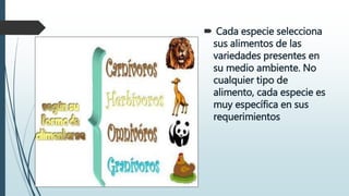  Cada especie selecciona
sus alimentos de las
variedades presentes en
su medio ambiente. No
cualquier tipo de
alimento, cada especie es
muy específica en sus
requerimientos
 