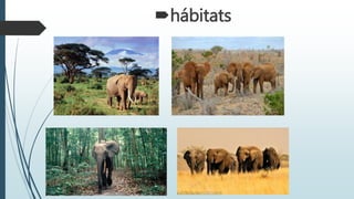 hábitats
 