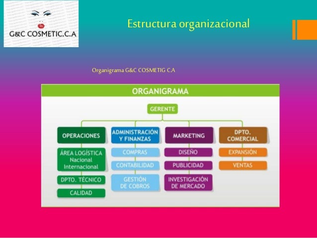 Organigrama Empresa De Maquillaje - slingo