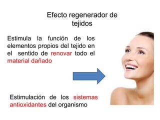 Efecto regenerador de
                      tejidos

Estimula la función de los
elementos propios del tejido en
el sentido de renovar todo el
material dañado




Estimulación de los sistemas
antioxidantes del organismo
 
