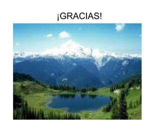 ¡GRACIAS!
 