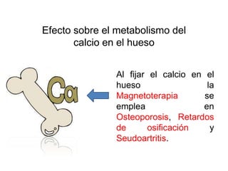 Efecto sobre el metabolismo del
       calcio en el hueso


               Al fijar el calcio en el
               hueso                  la
               Magnetoterapia        se
               emplea               en
               Osteoporosis, Retardos
               de      osificación     y
               Seudoartritis.
 
