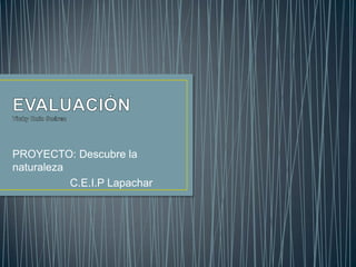 PROYECTO: Descubre la
naturaleza
C.E.I.P Lapachar
 
