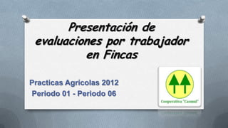 Presentación de
 evaluaciones por trabajador
          en Fincas

Practicas Agrícolas 2012
Periodo 01 - Periodo 06
 