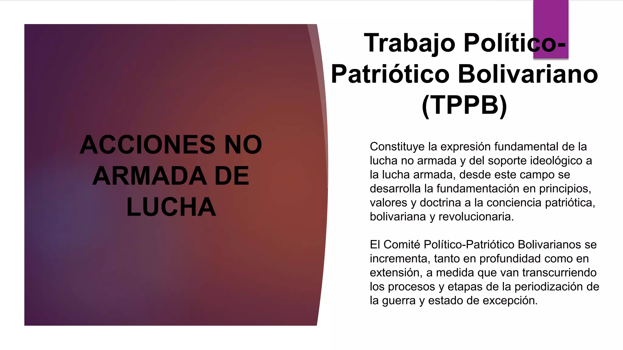 Lucha Armada y no Armada PPT