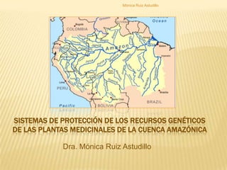   Mónica Ruiz Astudillo Sistemas de protección de los recursosgenéticos de lasplantasmedicinales de la cuencaamazónica Dra. Mónica Ruiz Astudillo 
