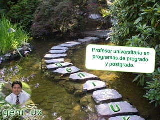 Profesor universitario en programas de pregrado y postgrado.