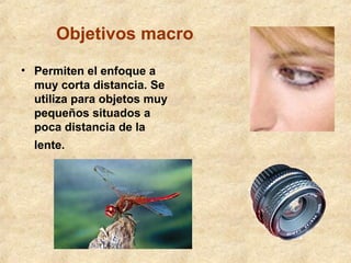 Objetivos macro
• Permiten el enfoque a
muy corta distancia. Se
utiliza para objetos muy
pequeños situados a
poca distancia de la
lente.

 