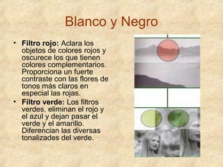Blanco y Negro
• Filtro rojo: Aclara los
objetos de colores rojos y
oscurece los que tienen
colores complementarios.
Proporciona un fuerte
contraste con las flores de
tonos más claros en
especial las rojas.
• Filtro verde: Los filtros
verdes, eliminan el rojo y
el azul y dejan pasar el
verde y el amarillo.
Diferencian las diversas
tonalizades del verde.

 