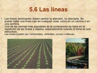 5.6 Las líneas
•

Las líneas dominantes deben centrar la atención, no desviarla. Se
puede hallar una línea casi en cualquier cosa, como en un camino o en
una sombra.
Una de las normas más populares de la composición se basa en la
repetición de las líneas y objetos, especialmente cuando el tema es una
estructura.
Las líneas pueden ser, horizontales, verticales, curvas u oblicuas.

 