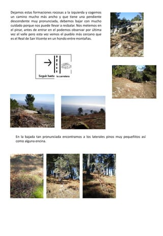 Dejamos estas formaciones rocosas a la izquierda y cogemos un camino mucho más ancho y que tiene una pendiente descendente muy pronunciada, debemos bajar con mucho cuidado porque nos puede llevar a resbalar. Nos metemos en el pinar, antes de entrar en el podemos observar por última vez el valle pero esta vez vemos el pueblo más cercano que es el Real de San Vicente en un hondo entre montañas.En la bajada tan pronunciada encontramos a los laterales pinos muy pequeñitos así como alguna encina.la carretera