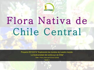Flora Nativa de  Chile Central Proyecto ED10/019 “Explorando los mundos de nuestro mundo: La biodiversidad del centro-sur de Chile” Taller I: Flora y fauna de la Zona Central Sesión 3 