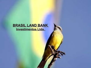 BRASIL LAND BANK
 Investimentos Ltda.
 