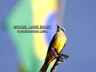 BRASIL LAND BANK
 Investimentos Ltda.
 