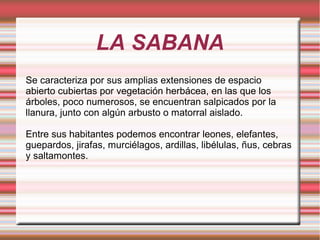 Se caracteriza por sus amplias extensiones de espacio
abierto cubiertas por vegetación herbácea, en las que los
árboles, poco numerosos, se encuentran salpicados por la
llanura, junto con algún arbusto o matorral aislado.
Entre sus habitantes podemos encontrar leones, elefantes,
guepardos, jirafas, murciélagos, ardillas, libélulas, ñus, cebras
y saltamontes.
LA SABANA
 