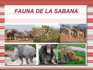 FAUNA DE LA SABANA.
 