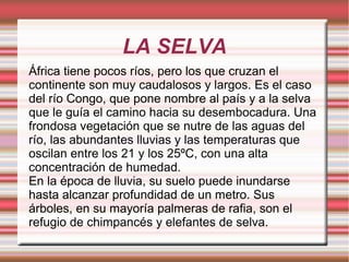 LA SELVA
África tiene pocos ríos, pero los que cruzan el
continente son muy caudalosos y largos. Es el caso
del río Congo, que pone nombre al país y a la selva
que le guía el camino hacia su desembocadura. Una
frondosa vegetación que se nutre de las aguas del
río, las abundantes lluvias y las temperaturas que
oscilan entre los 21 y los 25ºC, con una alta
concentración de humedad.
En la época de lluvia, su suelo puede inundarse
hasta alcanzar profundidad de un metro. Sus
árboles, en su mayoría palmeras de rafia, son el
refugio de chimpancés y elefantes de selva.
 