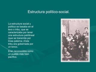 Estructura político-social.  La estructura social y política se basaba en el levo o tribu, que se caracterizaba por tener una estructura patrilineal (que se transmite por línea paterna.) Esta  tribu era gobernada por un lonco. Eran reconocidos como un pueblo más bien pacífico. 
