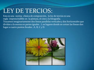COMPOSICIÓN ASIMÉTRICASe la conoce con el nombre de las formas de letras o figuras que adoptan. Las más utilizadas son la triangular y las realizadas en forma de S, L, o C ., que parecen ser las que mejor lectura y recorrido visual proporcionan. 
