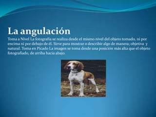 La angulación Toma a Nivel La fotografía se realiza desde el mismo nivel del objeto tomado, ni por encima ni por debajo de él. Sirve para mostrar o describir algo de manera; objetiva  y natural. Toma en Picado La imagen se toma desde una posición más alta que el objeto fotografiado, de arriba hacia abajo. 