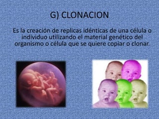 G) CLONACION
Es la creación de replicas idénticas de una célula o
individuo utilizando el material genético del
organismo o célula que se quiere copiar o clonar.
 