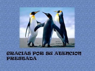 GRACIAS POR SU ATENCION
PRESTADA
 