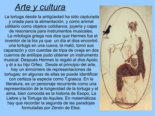 Arte y cultura
La tortuga desde la antigüedad ha sido capturada
y criada para la alimentación, y como animal
utilitario como objetos cotidianos, joyería y cajas
de resonancia para instrumentos musicales.
La mitología griega nos dice que Hermes fue el
inventor de la lira ya que un día el dios encontró
una tortuga en una cueva, la mató, tomó sus
caparazón y con cuerdas de tripa de oveja en dos
cuernos de antílope pudo obtener un instrumento
musical. Después Hermes lo regaló al dios Apolo,
y él a su hijo Orfeo. Desde el principio del arte,
hay un sinnúmero de representaciones de
tortugas; en algunas de ellas se puede identificar
con certeza la especie como T.graeca. En la
literatura, es un personaje recurrente como una
representación de la longevidad de la tortuga y el
alma, bien conocida es la historia de Esopo, La
Liebre y la Tortuga de Aquiles. En matemáticas
hay que recordar la segunda de las paradojas
formuladas por Zenón de Elea.
 