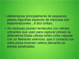 ● Aliméntanse principalmente de pequenos
peixes.Algunhas especies de medusas son
bioluminiscentes , é dicir brillan.
● As medusas posúen tentáculos con células
urticantes que usan para capturar presas ou
defenderse.Estas células teñen unha cápsula
con un filamento velenoso, que ó contacto con
unha presa inxectan veleno,deixando as
presas paralizadas.
 