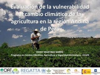 Evaluación de la vulnerabilidad 
al cambio climático de la 
agricultura en la región Andina 
de Perú 
DEISSY MARTINEZ BARÓN 
Programa en Cambio Climático, Agricultura y Seguridad Alimentaria - CCAFS 
 