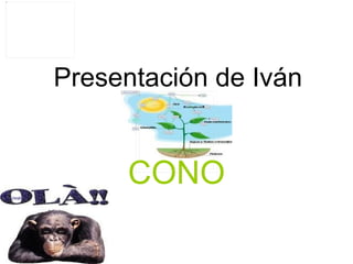 Presentación de Iván CONO 