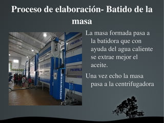 Limpieza y pesado Después de la recogida de la aceituna, se limpia: le quitan las hojas y la suciedad. La pesan: en unas básculas que van controladas por los ordenadores. 