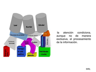 la atención condiciona, 
aunque no de manera 
exclusiva, el procesamiento 
de la información. 
MRL 
 