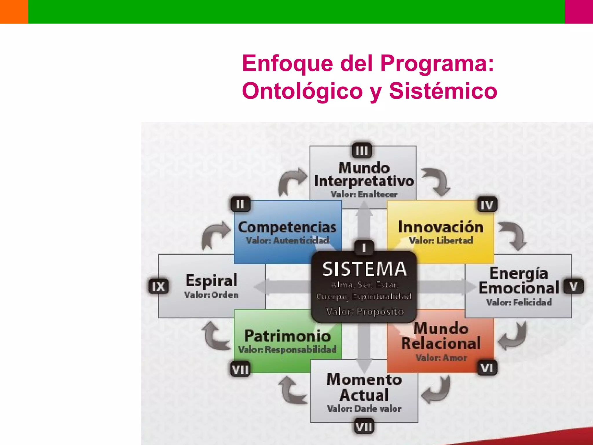 Enfoque del Programa:
Ontológico y Sistémico
 