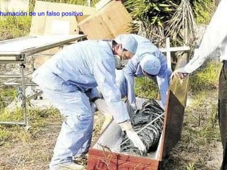 Exhumación de un falso positivo 