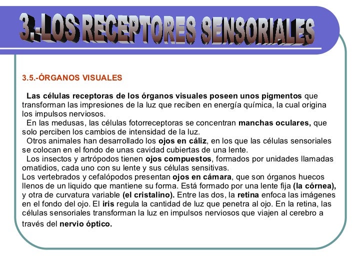 Como arreglar las pecas y la pigmentación